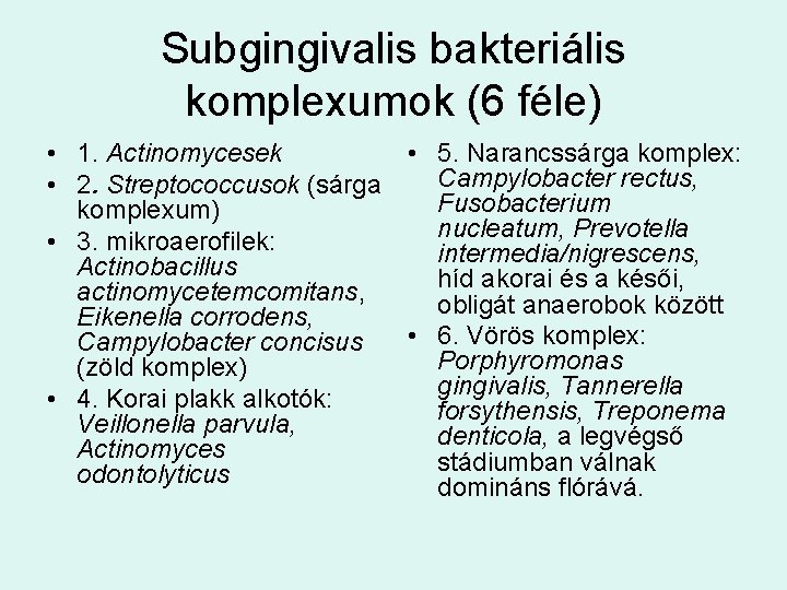 Subgingivalis bakteriális komplexumok (6 féle) • 1. Actinomycesek • 5. Narancssárga komplex: Campylobacter rectus,