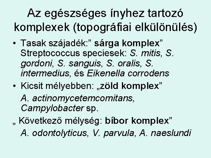 Az egészséges ínyhez tartozó komplexek (topográfiai elkülönülés) • Tasak szájadék: ” sárga komplex” Streptococcus