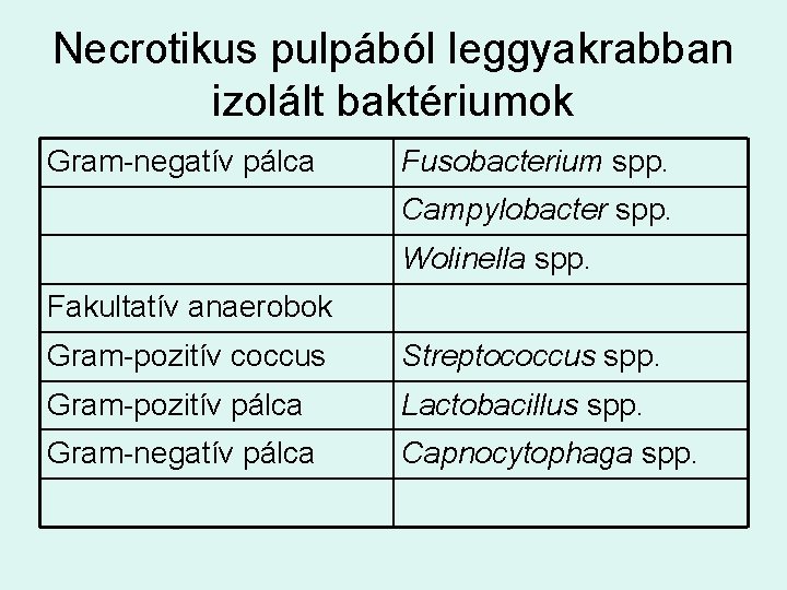 Necrotikus pulpából leggyakrabban izolált baktériumok Gram-negatív pálca Fusobacterium spp. Campylobacter spp. Wolinella spp. Fakultatív