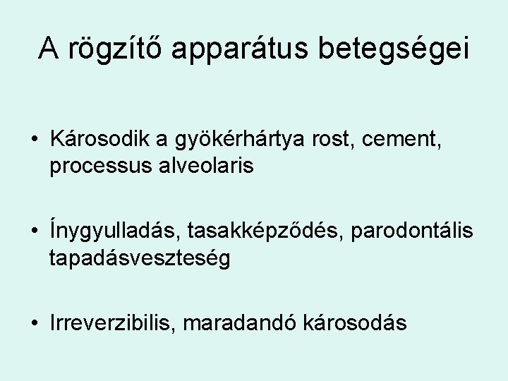 A rögzítő apparátus betegségei • Károsodik a gyökérhártya rost, cement, processus alveolaris • Ínygyulladás,