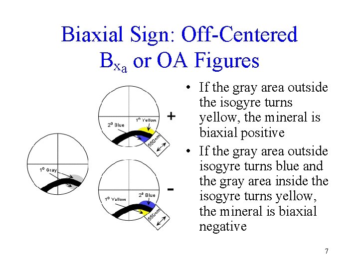 Biaxial Sign: Off-Centered Bxa or OA Figures • If the gray area outside the