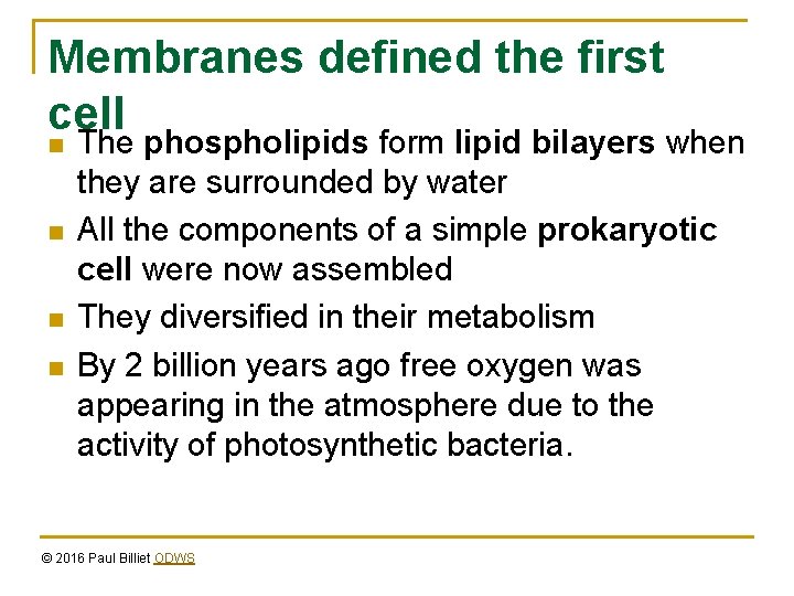 Membranes defined the first cell n n The phospholipids form lipid bilayers when they
