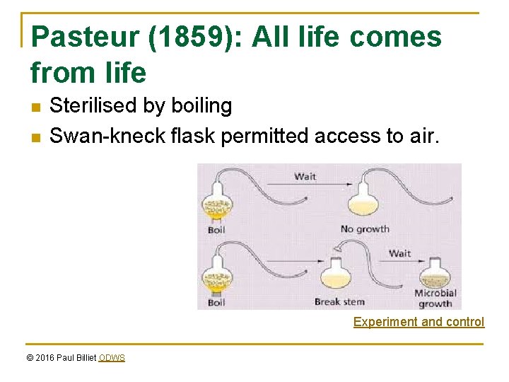 Pasteur (1859): All life comes from life n n Sterilised by boiling Swan-kneck flask