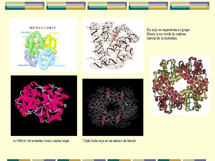 En rojo se representa el grupo Heme y en verde la cadena lateral de