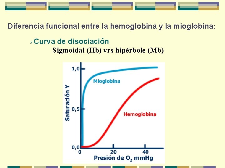 Diferencia funcional entre la hemoglobina y la mioglobina: ä Curva de disociación Sigmoidal (Hb)