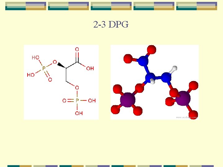 2 -3 DPG 