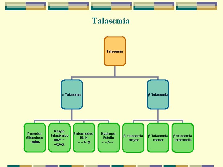 Talasemia α Talasemia Portador Silencioso -a/aa Rasgo talasémico aa/- -a/-a Enfermedad Hb H -