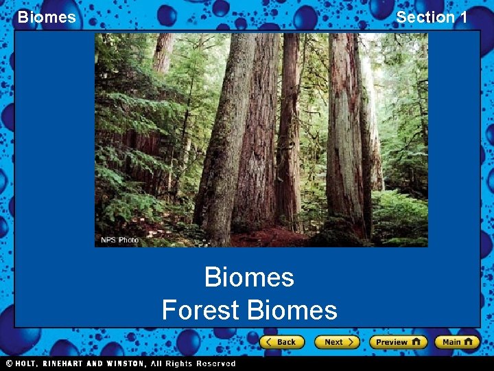 Biomes Section 1 Biomes Forest Biomes 