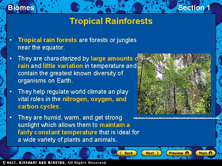 Biomes Section 1 Tropical Rainforests • Tropical rain forests are forests or jungles near
