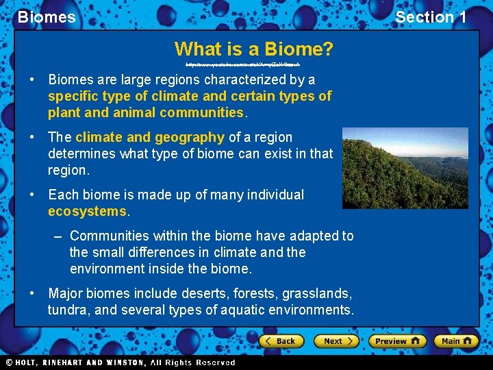 Biomes Section 1 What is a Biome? http: //www. youtube. com/watch? v=qt. Zc. N