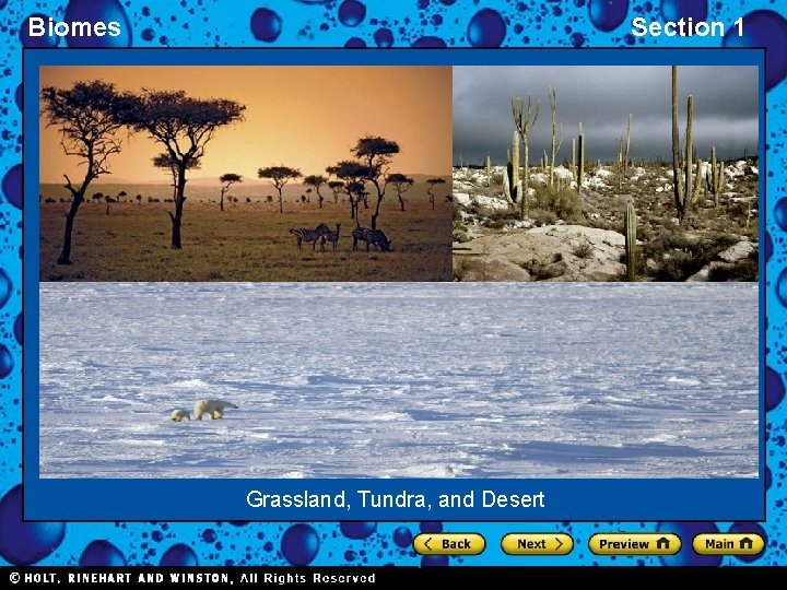 Biomes Section 1 Grassland, Tundra, and Desert 