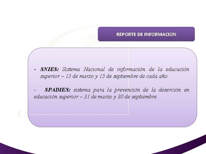 REPORTE DE INFORMACION - SNIES: Sistema Nacional de información de la educación superior –