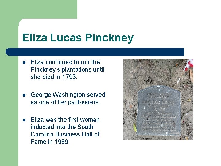 Eliza Lucas Pinckney l Eliza continued to run the Pinckney’s plantations until she died