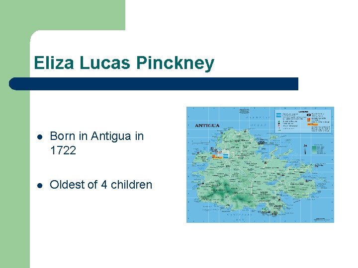 Eliza Lucas Pinckney l Born in Antigua in 1722 l Oldest of 4 children