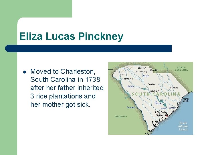 Eliza Lucas Pinckney l Moved to Charleston, South Carolina in 1738 after her father