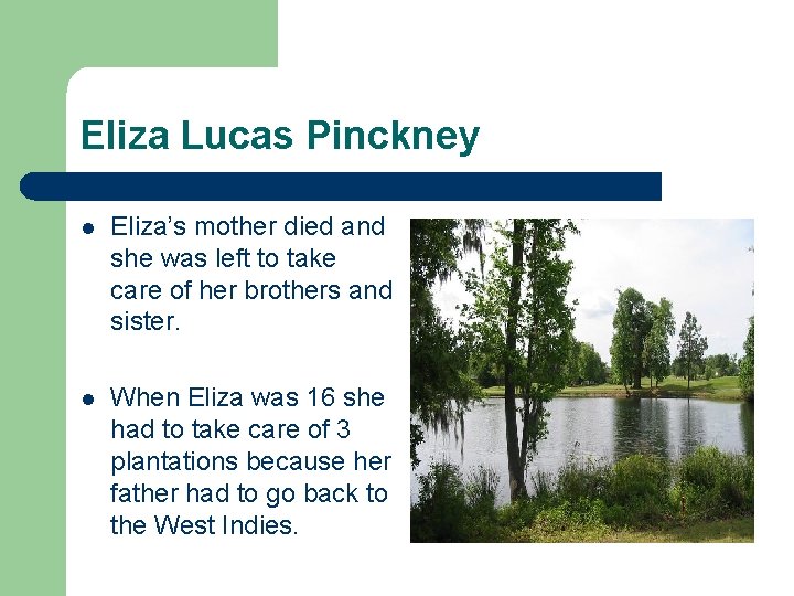 Eliza Lucas Pinckney l Eliza’s mother died and she was left to take care