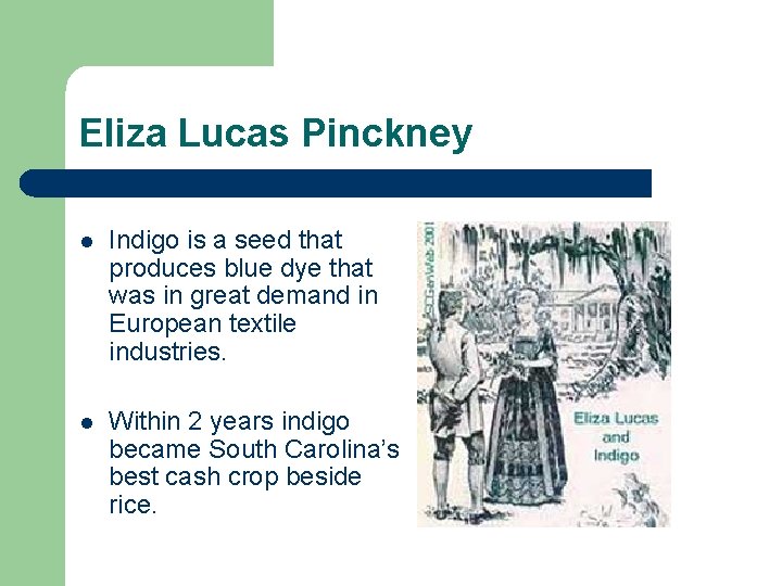 Eliza Lucas Pinckney l Indigo is a seed that produces blue dye that was