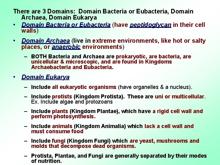 There are 3 Domains: Domain Bacteria or Eubacteria, Domain Archaea, Domain Eukarya • Domain