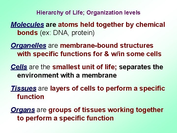 Hierarchy of Life; Organization levels Molecules are atoms held together by chemical bonds (ex: