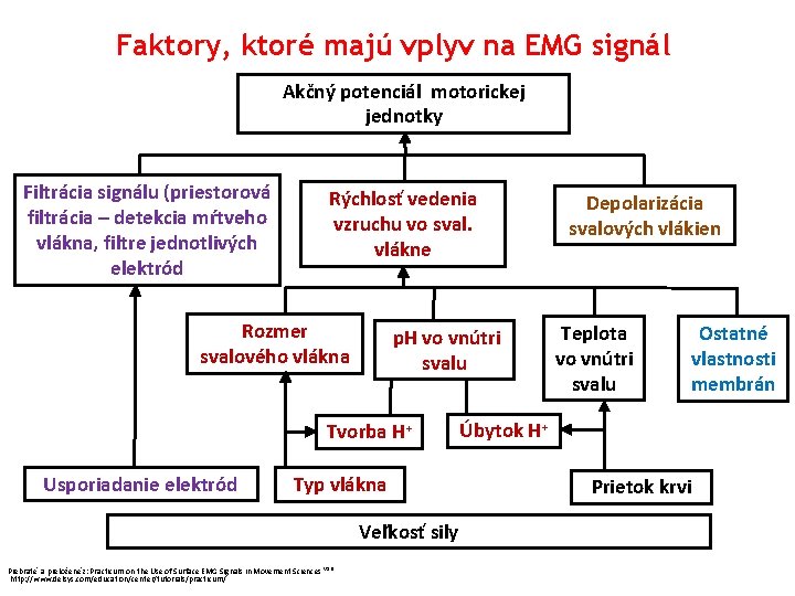 Faktory, ktoré majú vplyv na EMG signál Akčný potenciál motorickej jednotky Filtrácia signálu (priestorová