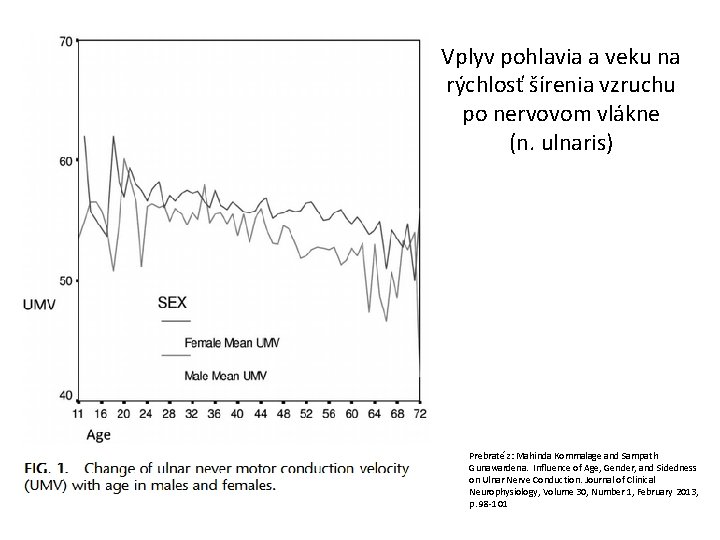 Vplyv pohlavia a veku na rýchlosť šírenia vzruchu po nervovom vlákne (n. ulnaris) Prebraté