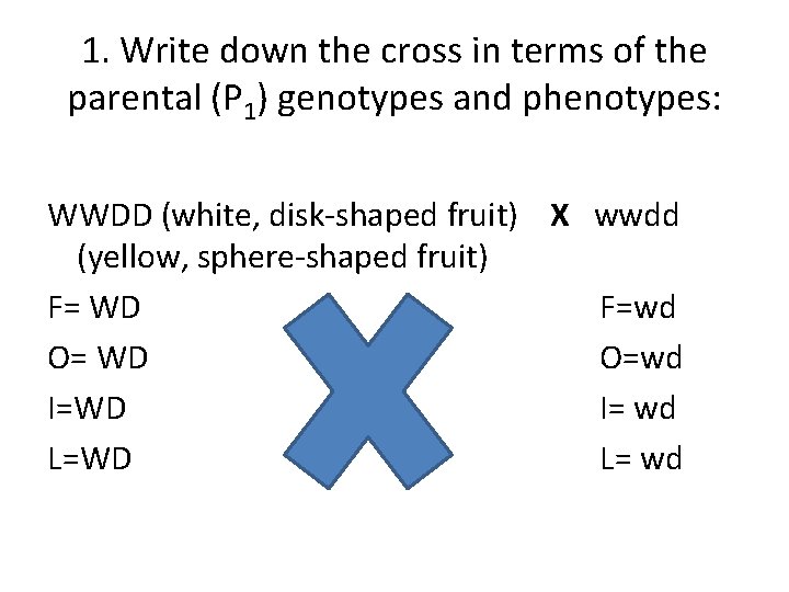 1. Write down the cross in terms of the parental (P 1) genotypes and