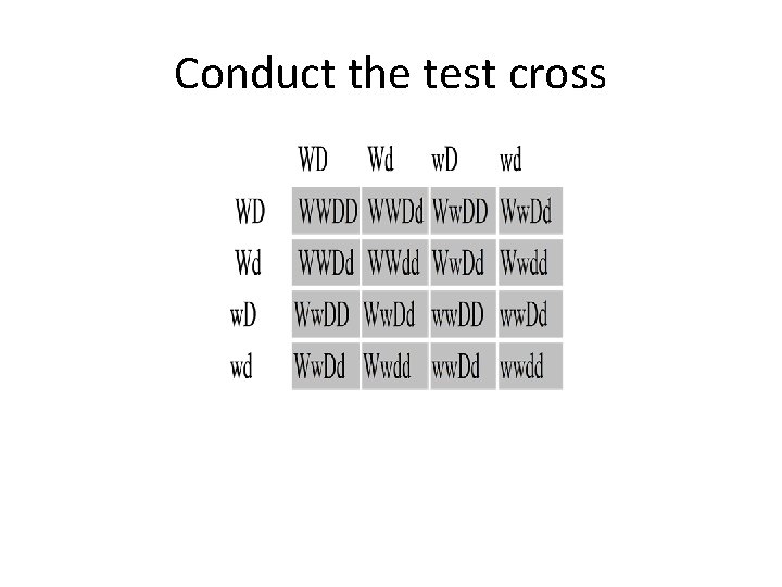 Conduct the test cross 