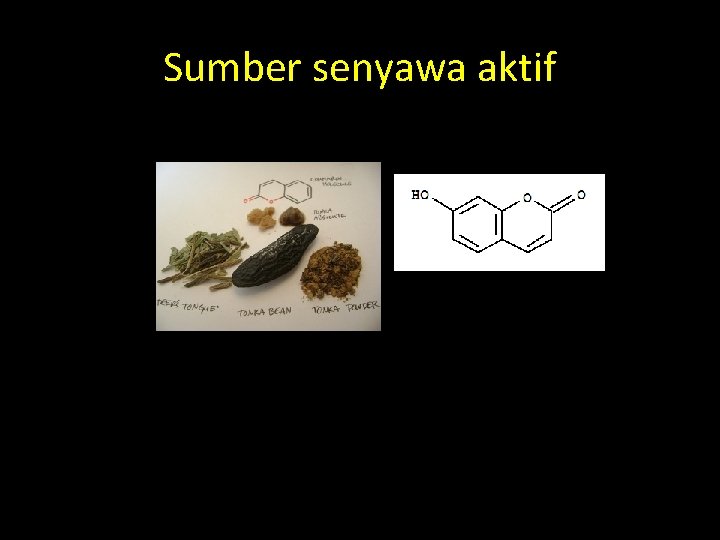 Sumber senyawa aktif 