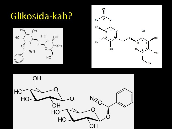 Glikosida-kah? 