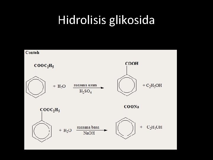 Hidrolisis glikosida 