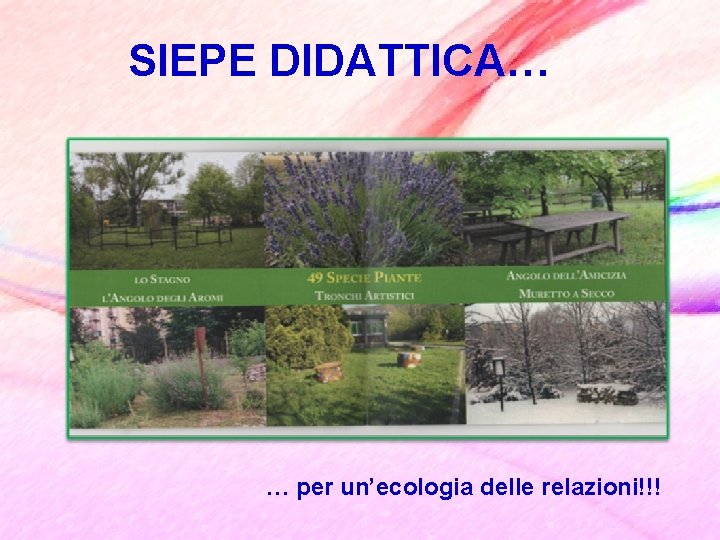 SIEPE DIDATTICA… … per un’ecologia delle relazioni!!! 