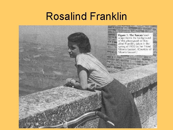 Rosalind Franklin 