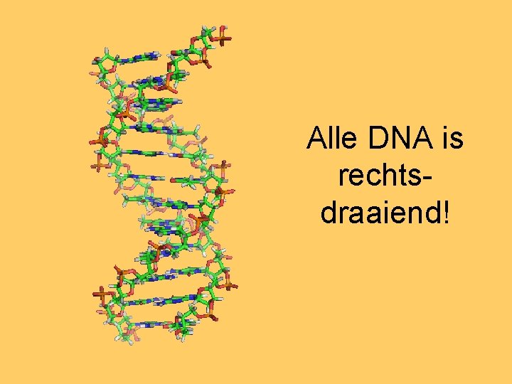 Alle DNA is rechtsdraaiend! 