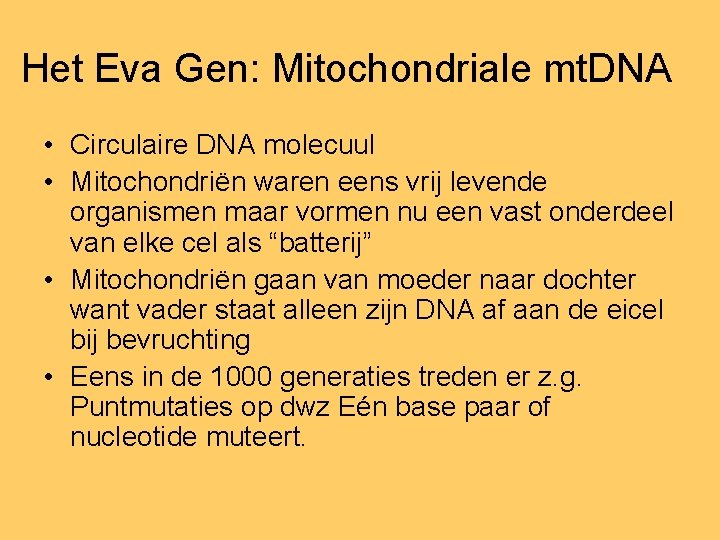 Het Eva Gen: Mitochondriale mt. DNA • Circulaire DNA molecuul • Mitochondriën waren eens