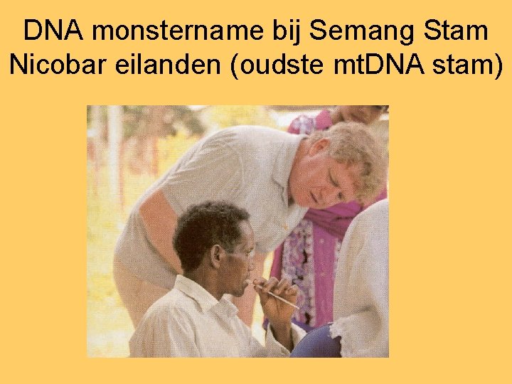 DNA monstername bij Semang Stam Nicobar eilanden (oudste mt. DNA stam) 