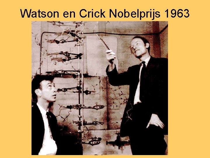 Watson en Crick Nobelprijs 1963 