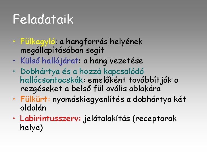 Feladataik • Fülkagyló: a hangforrás helyének megállapításában segít • Külső hallójárat: a hang vezetése