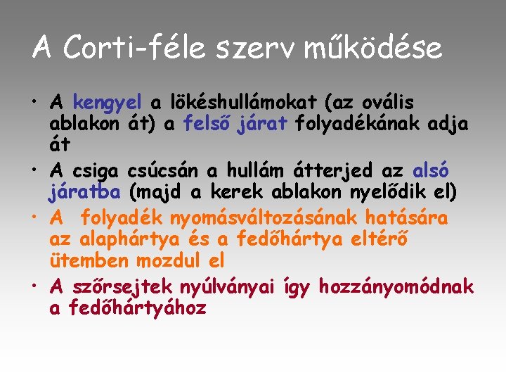 A Corti-féle szerv működése • A kengyel a lökéshullámokat (az ovális ablakon át) a