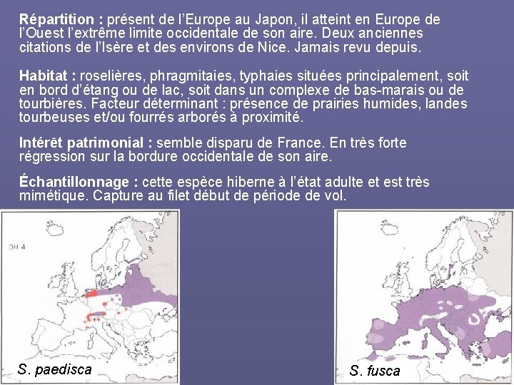 Répartition : présent de l’Europe au Japon, il atteint en Europe de l’Ouest l’extrême