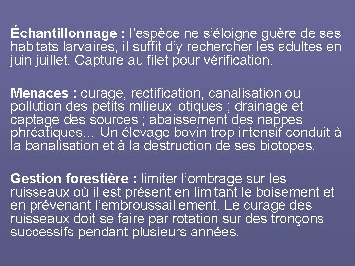 Échantillonnage : l’espèce ne s’éloigne guère de ses habitats larvaires, il suffit d’y recher