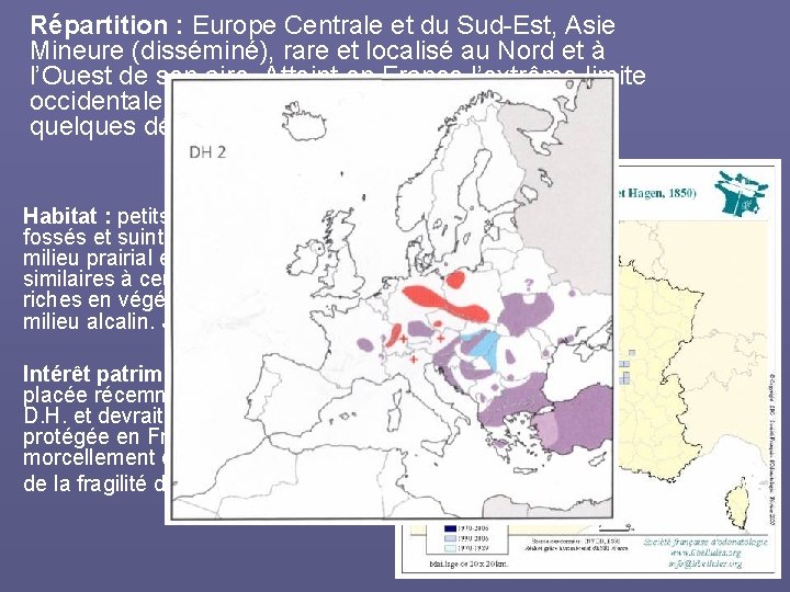 Répartition : Europe Centrale et du Sud-Est, Asie Mineure (disséminé), rare et localisé au