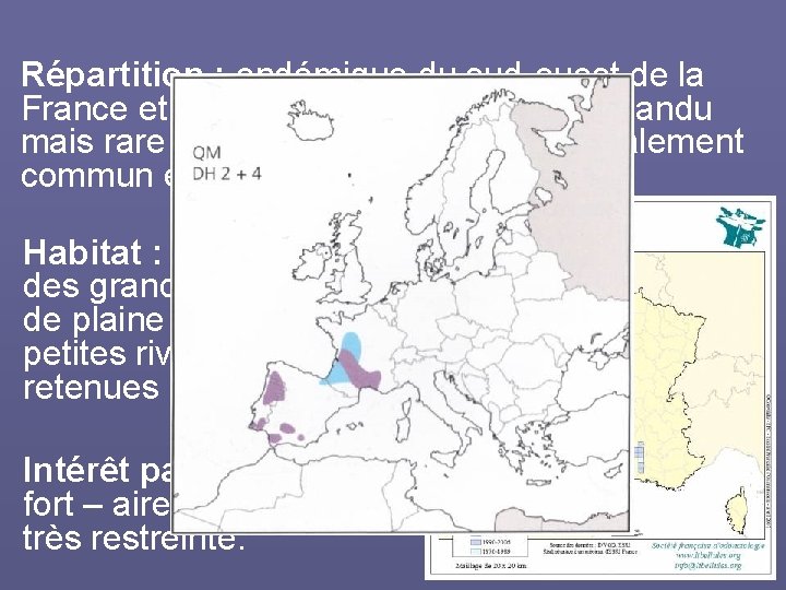 Répartition : endémique du sud-ouest de la France et de la Péninsule Ibérique. Répandu