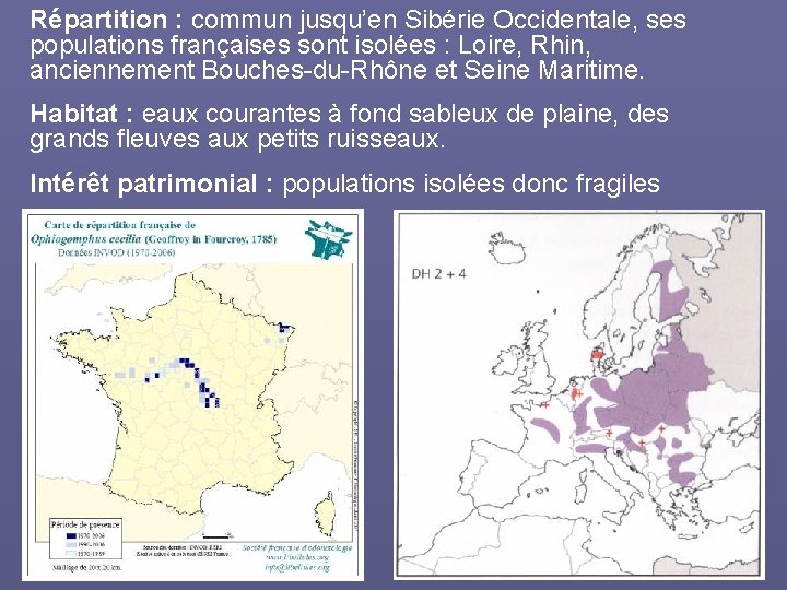 Répartition : commun jusqu’en Sibérie Occidentale, ses populations françaises sont isolées : Loire, Rhin,