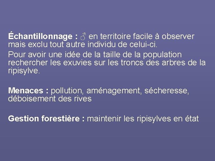 Échantillonnage : ♂ en territoire facile à observer mais exclu tout autre individu de