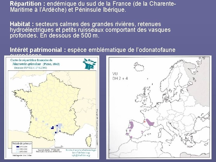 Répartition : endémique du sud de la France (de la Charente. Maritime à l’Ardèche)