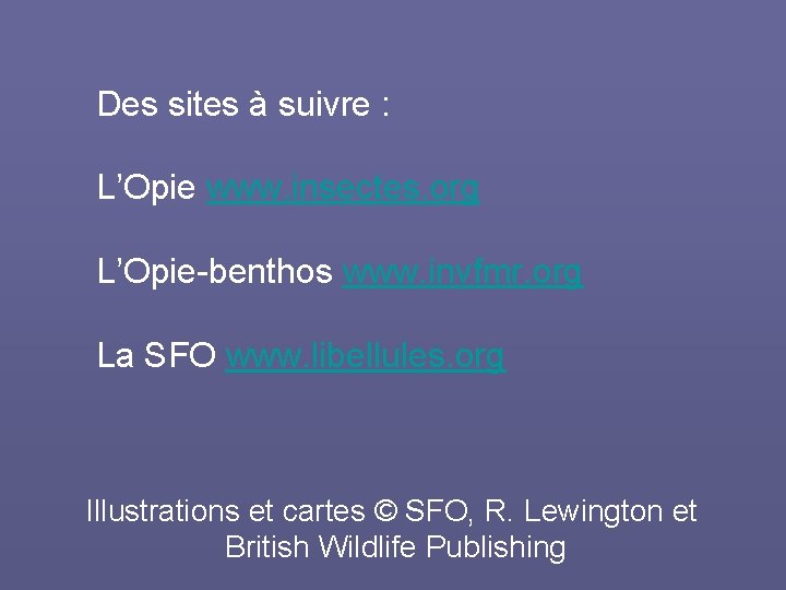 Des sites à suivre : L’Opie www. insectes. org L’Opie-benthos www. invfmr. org La