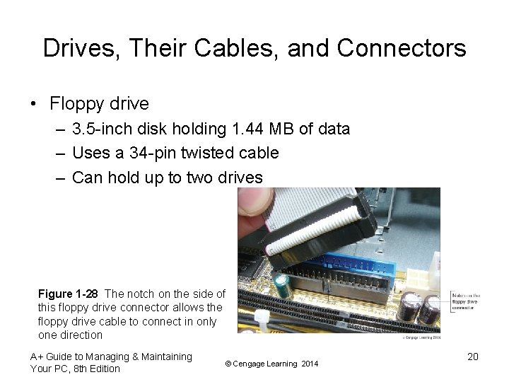 Drives, Their Cables, and Connectors • Floppy drive – 3. 5 -inch disk holding