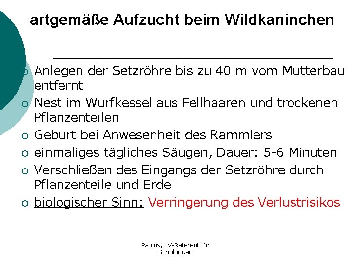 artgemäße Aufzucht beim Wildkaninchen ¡ ¡ ¡ Anlegen der Setzröhre bis zu 40 m