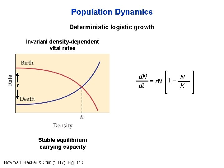 Population Dynamics Deterministic logistic growth Invariant density-dependent vital rates d. N N 1 – Population Dynamics Deterministic logistic growth Invariant density-dependent vital rates d. N N 1 –