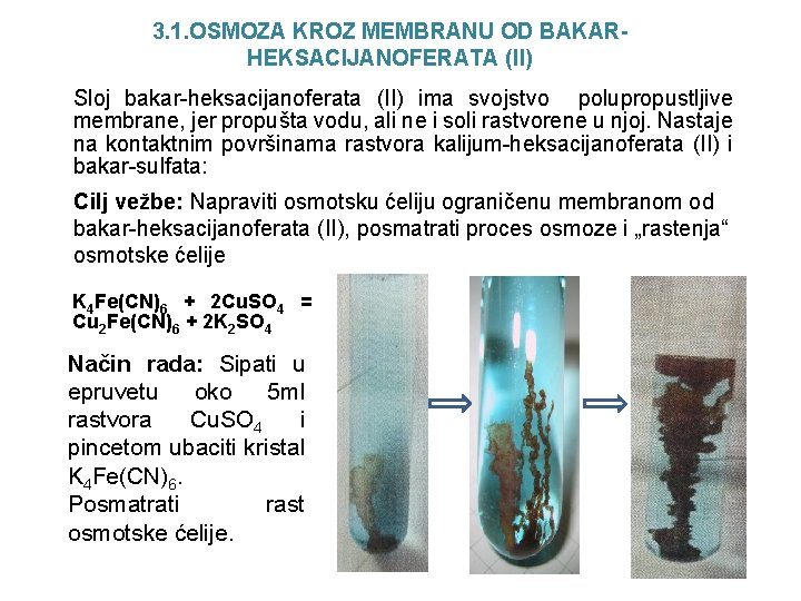 3. 1. OSMOZA KROZ MEMBRANU OD BAKARHEKSACIJANOFERATA (II) Sloj bakar-heksacijanoferata (II) ima svojstvo polupropustljive